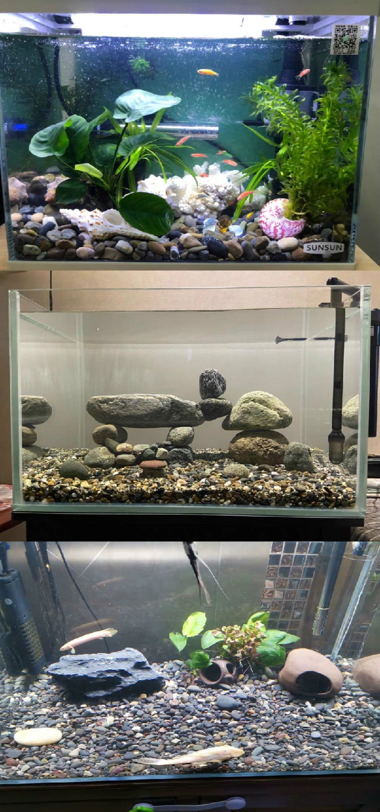 5斤大矶沙河沙溪流砂沙雨花石水族鱼缸底砂子造景石头溪水石 水晶砂1