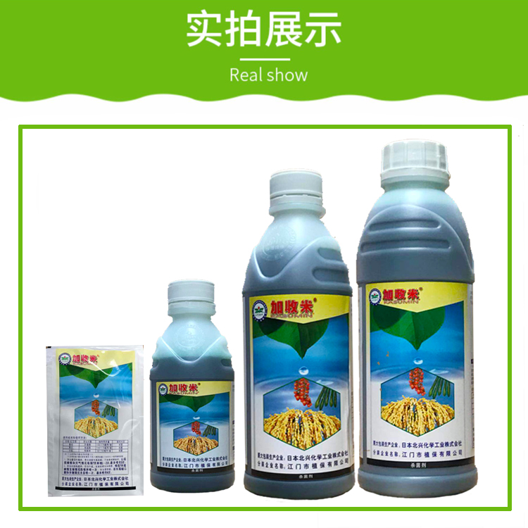 加收米春雷霉素2叶斑病角斑病稻瘟病农药杀菌剂801000毫升250ml