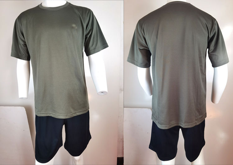 体能服陆军短袖套装男夏季宽松圆领军迷短袖衫短裤透气t恤 灰色套装