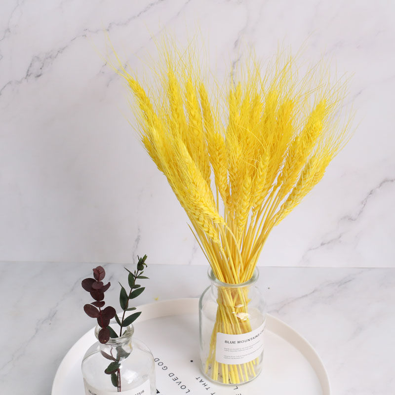 干花花束彩色麦穗麦子干花客厅卧室摆设书房装饰拍摄道具开业大麦黄色