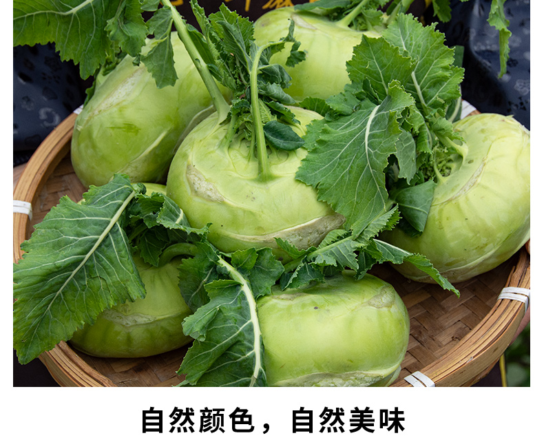 新鲜苤蓝脆嫩疙瘩大芥菜鲜疙瘩菜土苤茄莲芥蓝大头菜蔬菜 5斤