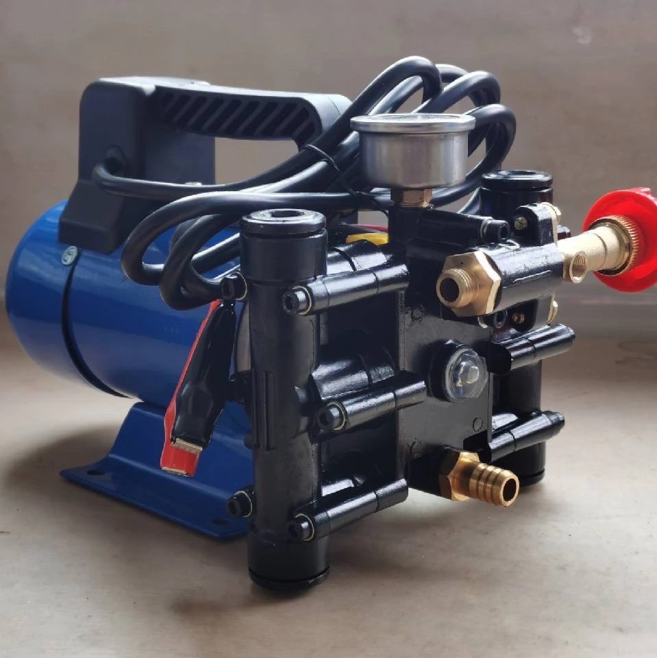 手提12v24v48v60v220伏电动喷雾器果树双缸柱塞打药机泵农用高压48v