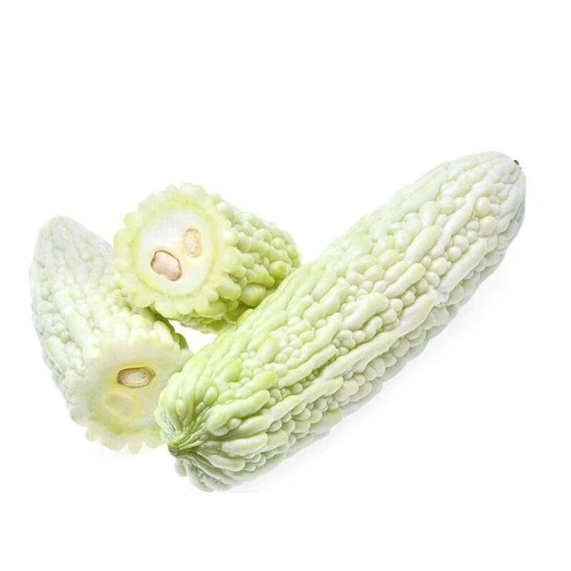 赤卉早熟白苦瓜种子春秋易种苦瓜蔬菜种籽高产肉厚苦味