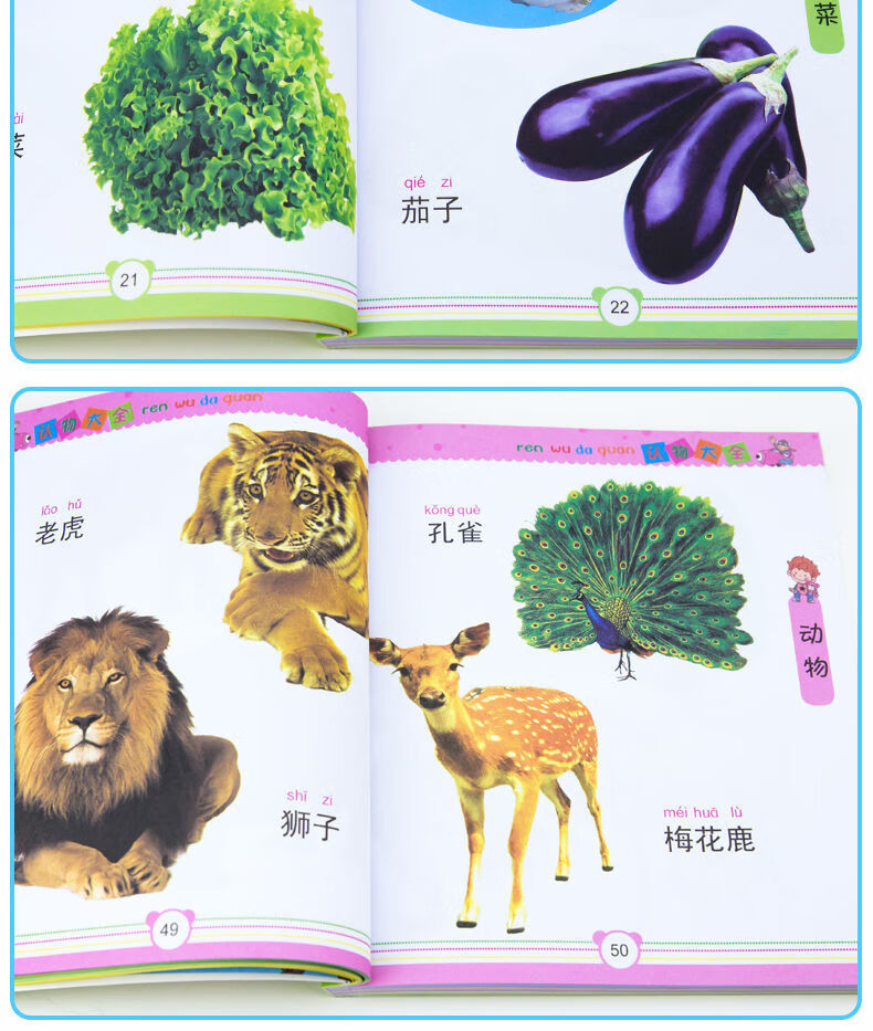 寶寶早教書認知幼兒書籍早教啟蒙識字書幼兒園兒童看圖識物卡片認物