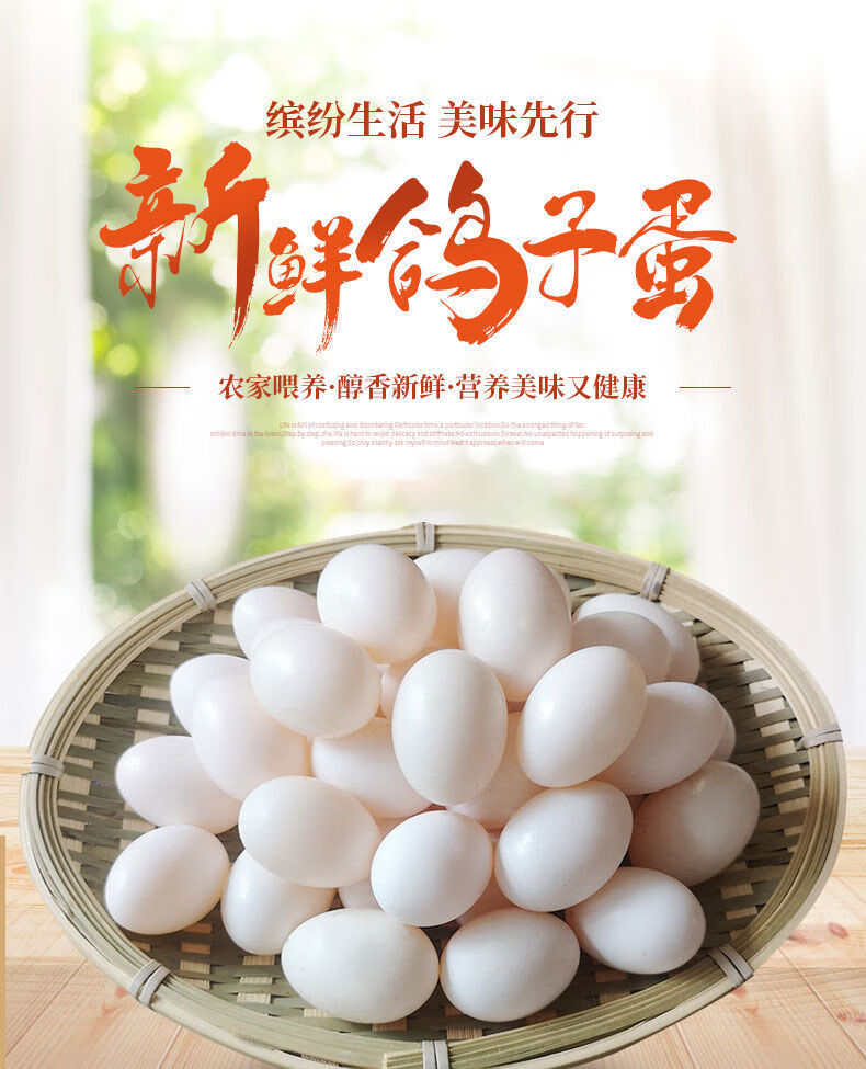 鸽子蛋新鲜鸽子蛋农家原粮喂养礼品鸽蛋辅食顺丰鲜鸽蛋20枚380420克