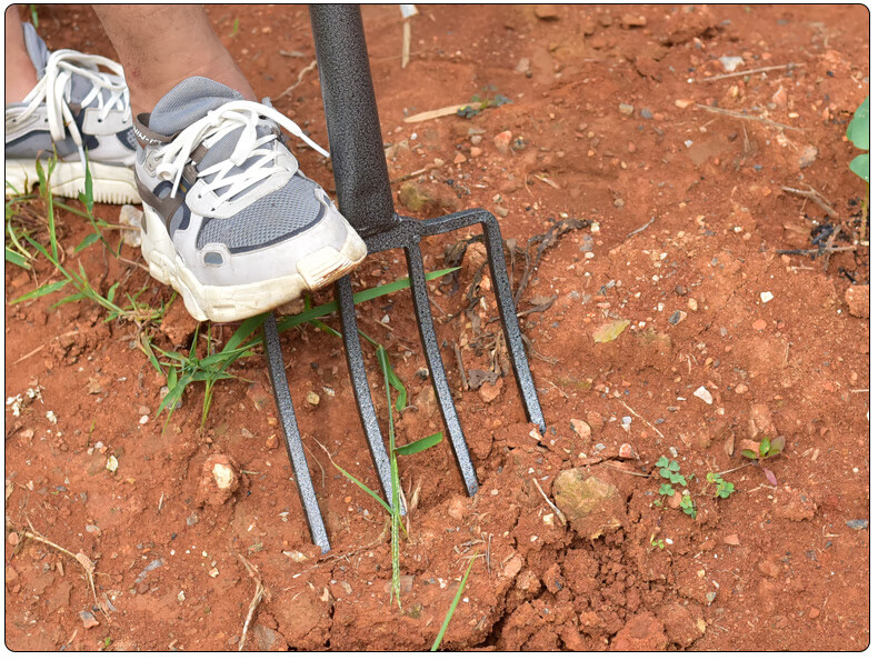 倘沭湾 翻地神器省力钢叉农用工具铁叉子户外全钢四齿草叉翻土四股叉