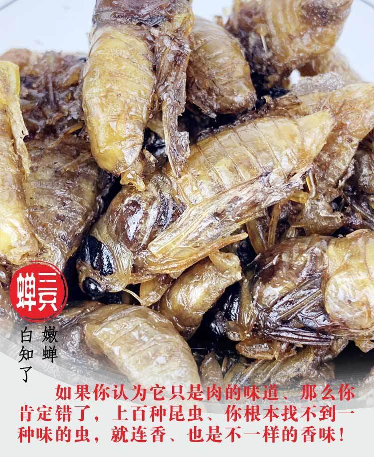 沙地梨園唐僧肉油炸白知了猴美味白蟬褪殼嫩爬叉香酥昆蟲營養蟲子