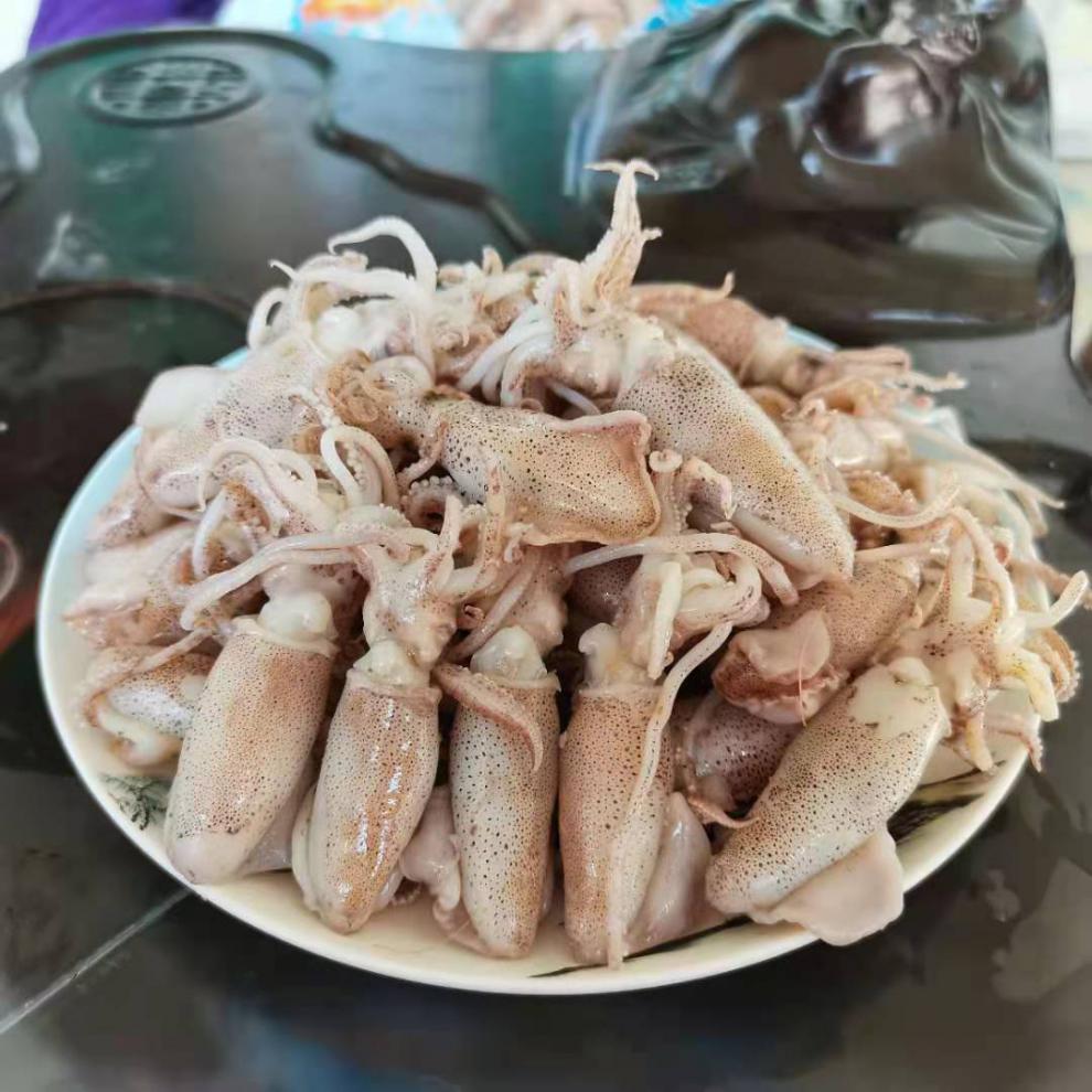 青樱红荔500g海兔新鲜盐渍生鲜干海鲜干货100g中大号500g