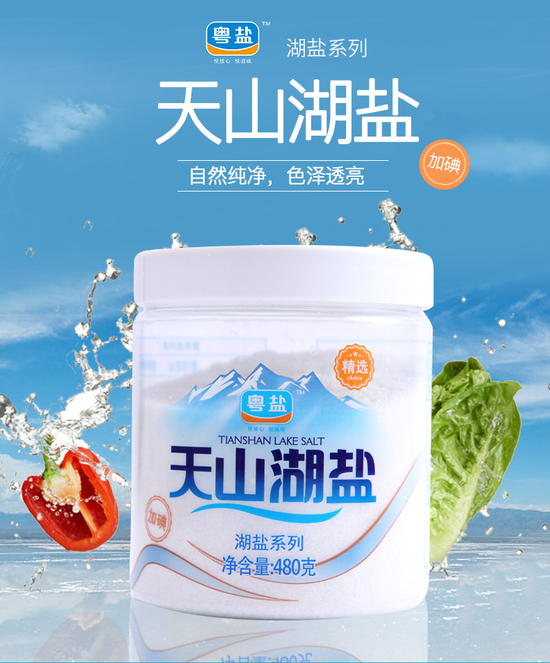粤盐牌 天山湖盐未添加结剂家用食用盐味盐细盐 2罐装【图片 价格