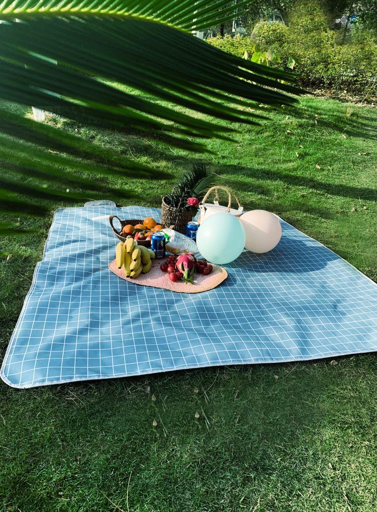 野餐垫防潮垫子户外便携郊游野炊地垫野外草坪布加厚防水网红用品 白