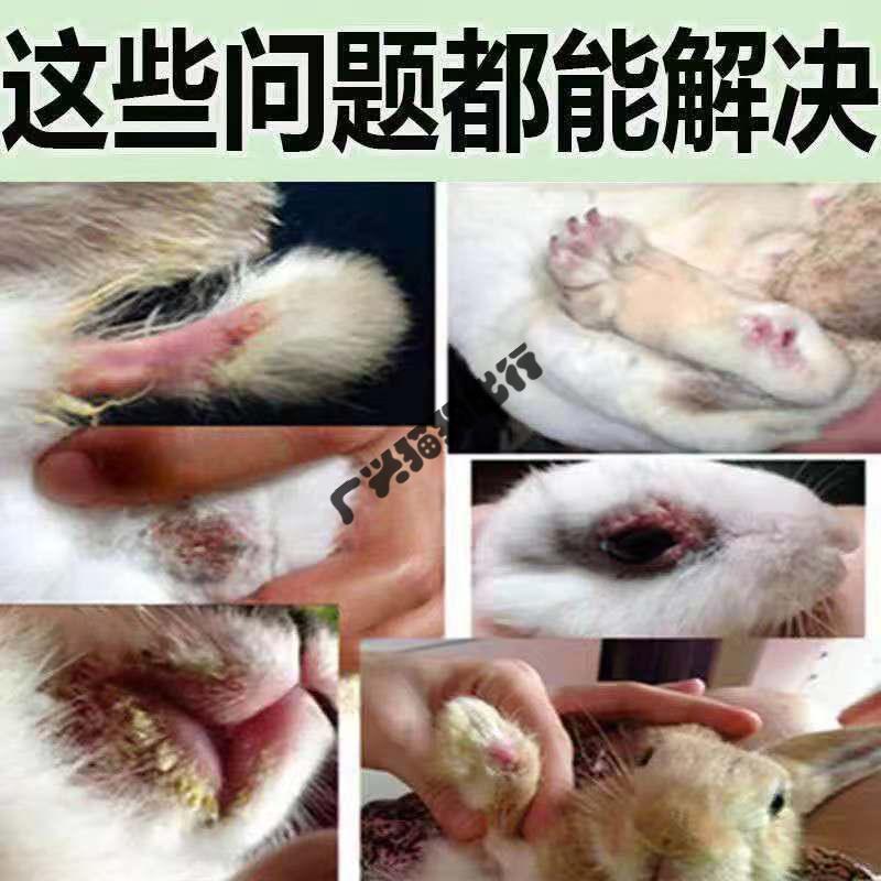 火热新品[火热促销]兔子皮肤病专用药兔癣真菌感染皮癣脚皮炎烂脚丫