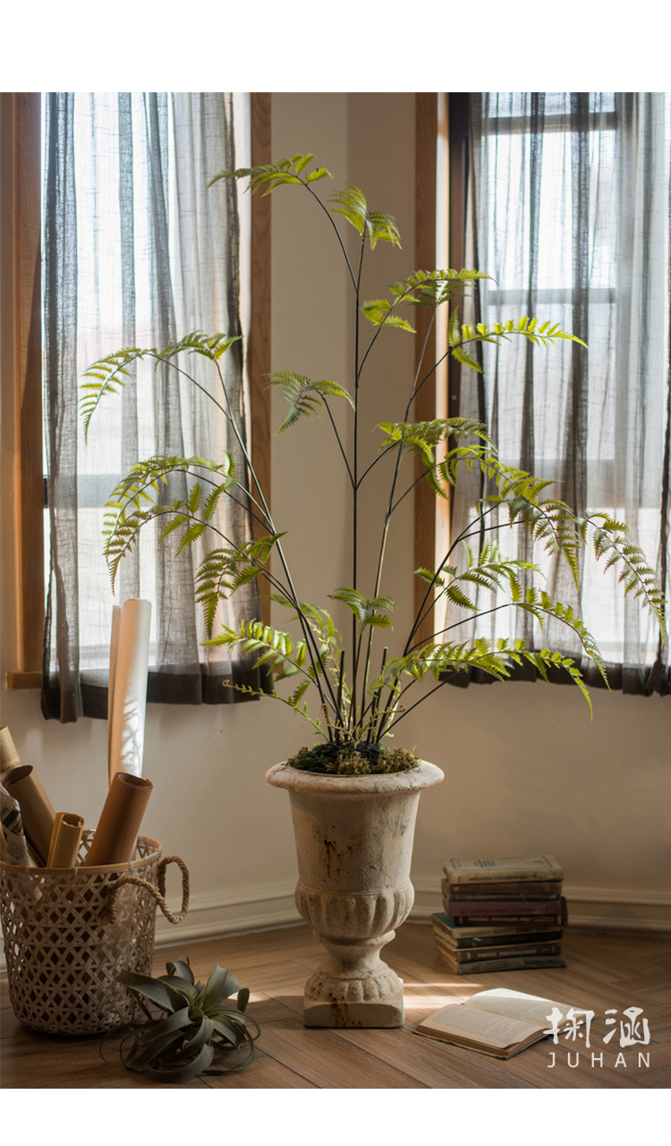 掬涵凤尾蕨苔泥团盆景仿真蕨草蕨树装饰绿植摆件造景陈列绳纹罐大高2