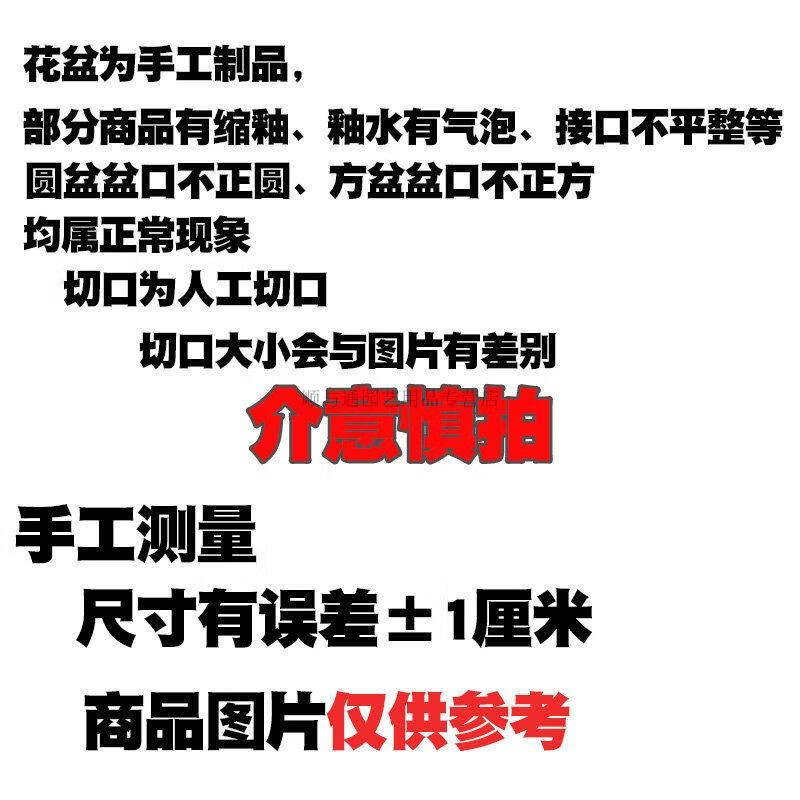 8c96f8e1a718aa31.jpg