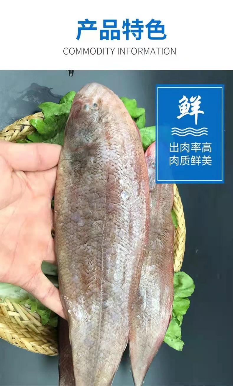 新鮮速凍龍利魚海鮮舌頭魚舌鰨魚鰨米魚鰨目魚野牛舌頭踏板魚8斤裝