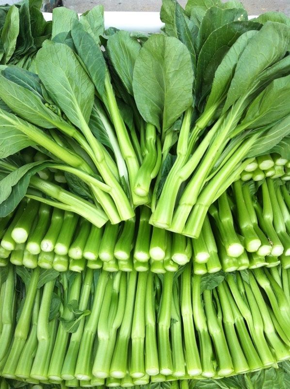 新鲜蔬菜广东菜心菜苔新鲜蔬菜3斤