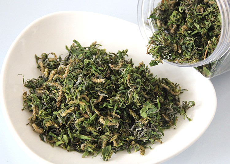 亏本卖柳叶茶柳树叶子茶叶野生保证真货柳芽茶新鲜干柳树芽花小肠火