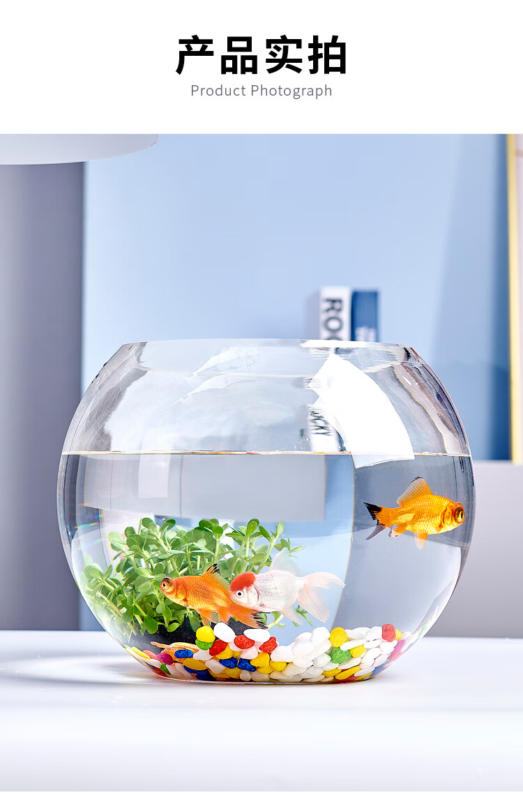 办公室小鱼缸套装加厚透明玻璃乌龟缸客厅家用办公桌面圆形mini迷你