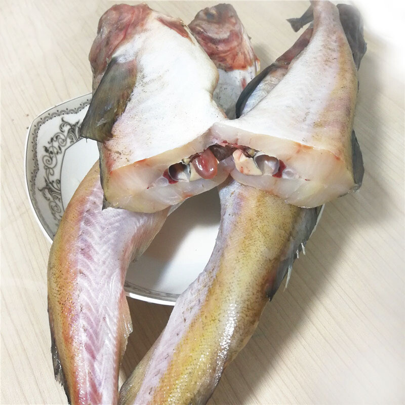 延邊明太魚新鮮冷凍 狹鱈魚船凍單條2000g