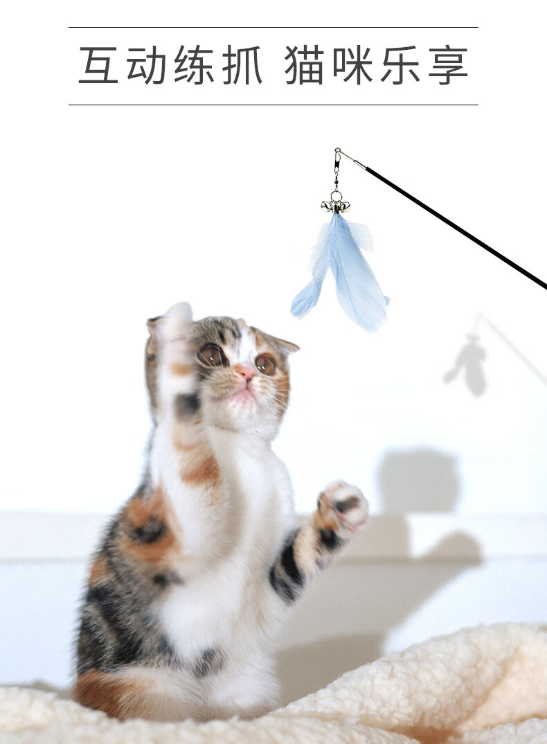 伸缩逗猫棒长杆钓鱼竿羽毛铃铛仙女猫玩具宠物猫咪用品自嗨逗猫棒 02