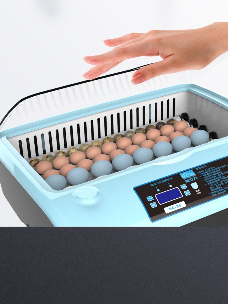 孵化器小鸡孵化器孵化器全自动智能家用孵化机实验探索鸡蛋孵化箱智能