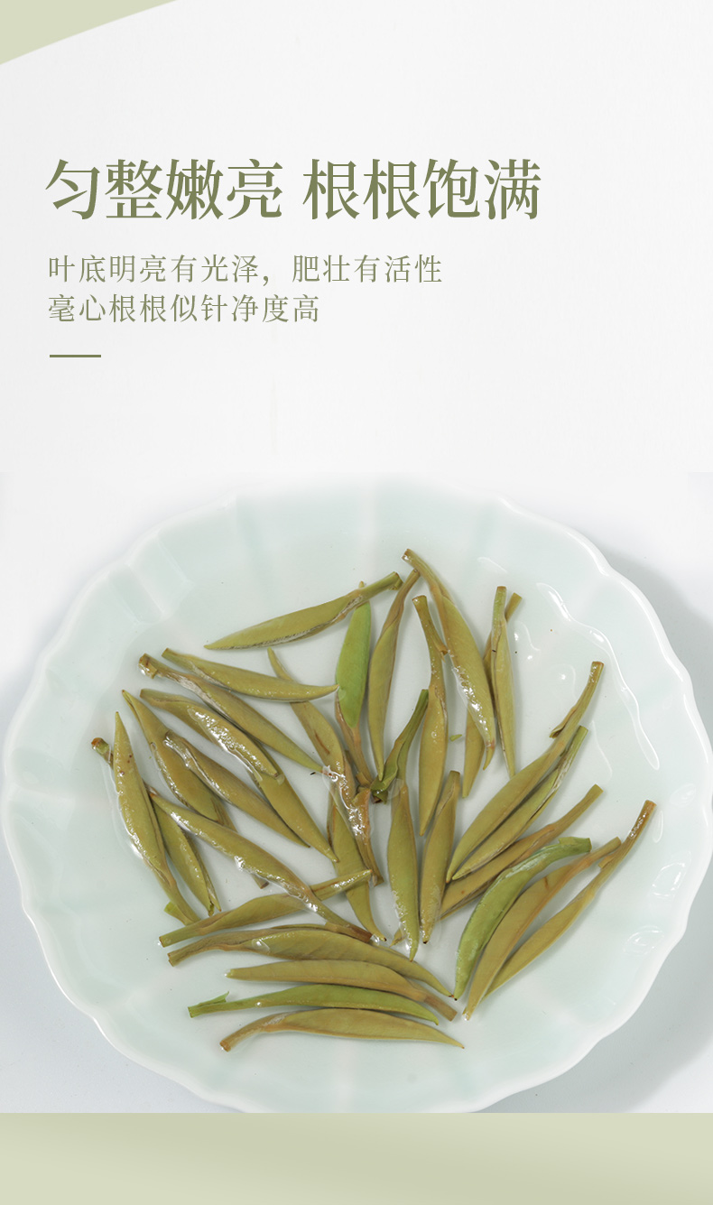 福鼎福建白茶白毫银针福建明前高山新茶白豪银针茶叶罐装共40g40g