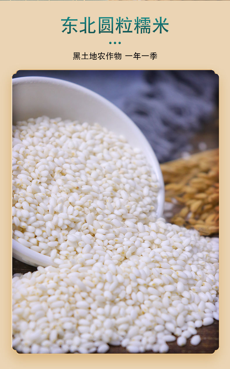 东北新糯米香糯米江米粘糯米包粽子原料糯米酿酒糍粑用糯米批发 糯米5