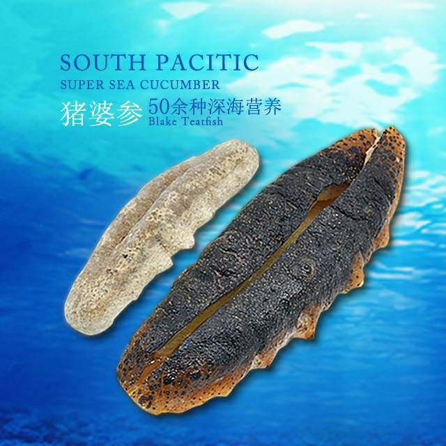 猪婆参 澳洲非州南美洲野生海参 特级白石参 淡干货 酒店供应 一斤