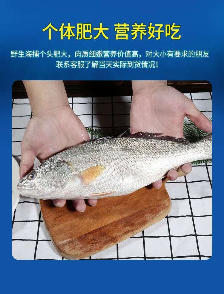 红古鱼一条【1斤装】【图片 价格 品牌 报价】-京东