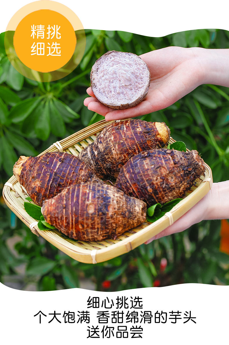 jd物流广西新鲜芋头头359斤新鲜特产槟榔大芋头香芋原产地当季蔬菜