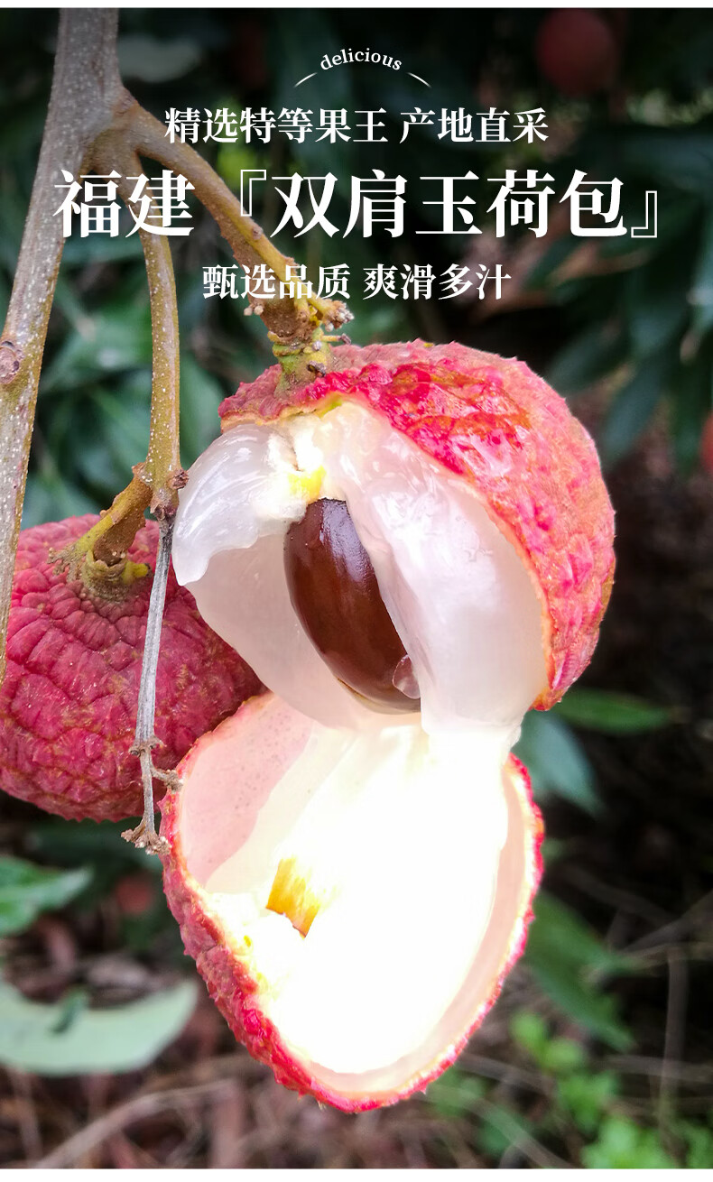 【稀有品种】双肩玉荷包荔枝新鲜5斤特级水果当季整箱现摘现发10 2500