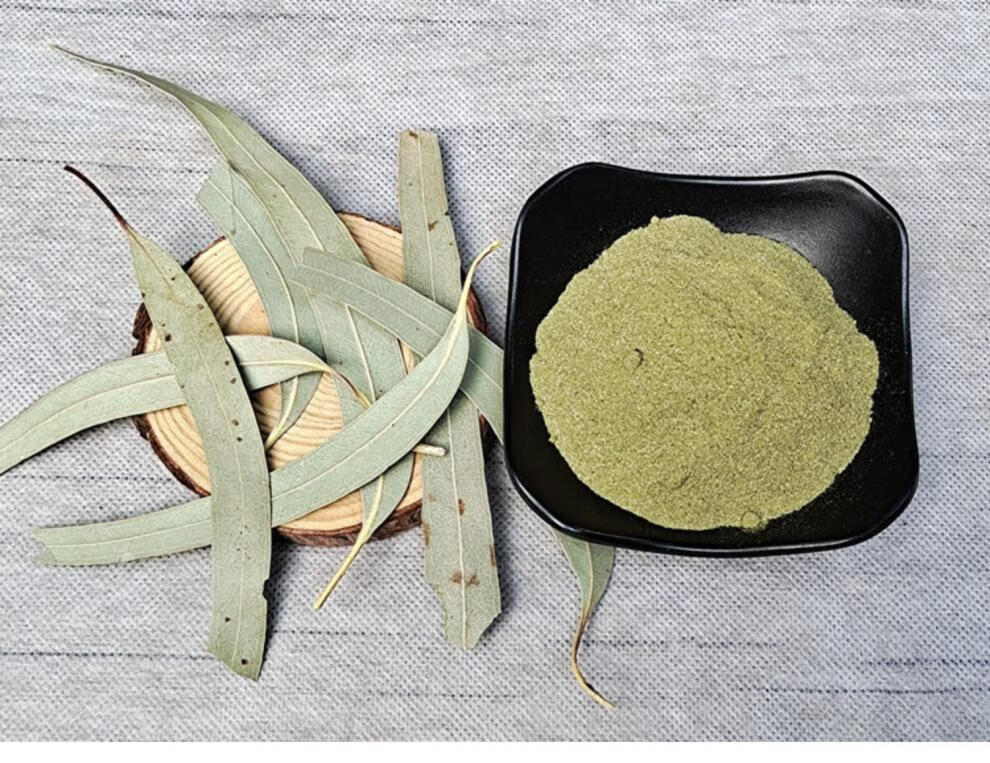桉树叶粉500g现磨纯桉叶粉中药材小桉树大叶按树叶粉尤加利叶子