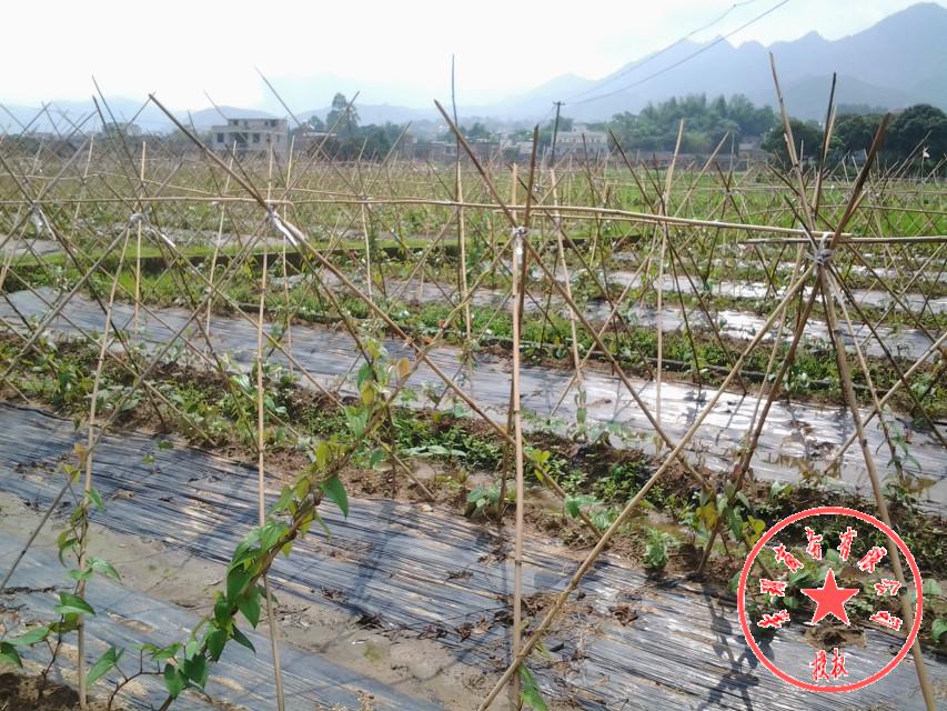 淮山种植塑料u型槽加厚山药槽淮山槽浅生槽淮山管槽 80cm35丝加厚100