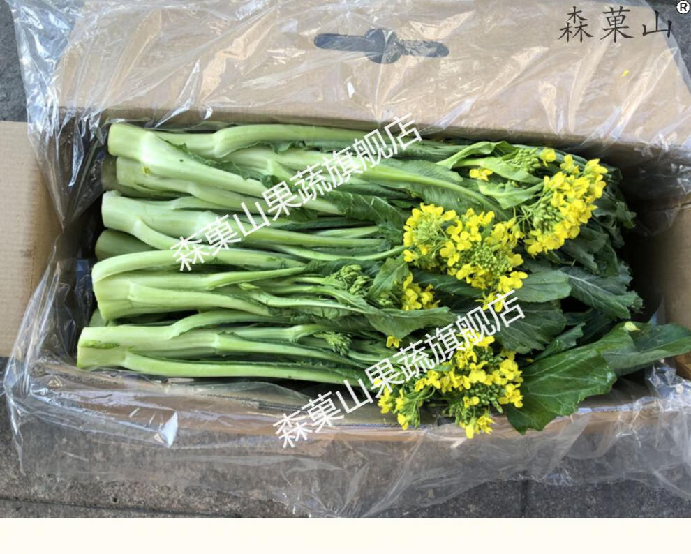 順豐空運廣東增城菜心正宗增城遲菜心小樓鎮高腳菜心曾城菜心嫩甜精選