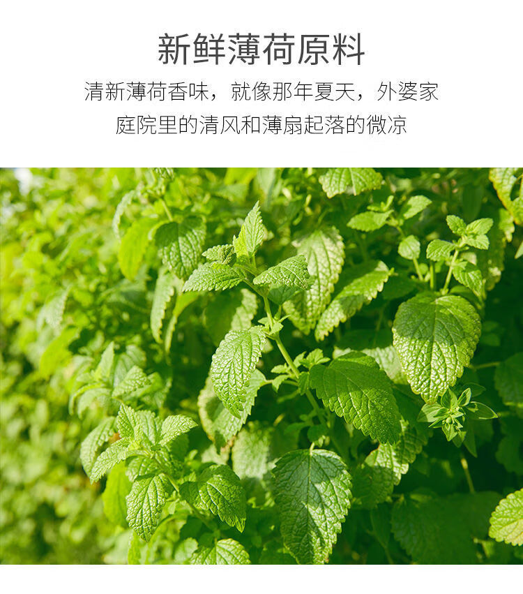 老式薄荷糖硬糖清凉润喉糖正宗四川传统手工薄荷糖口香糖怀旧食品老式