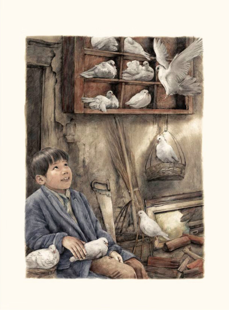 2016年安徒生奖得主曹文轩作品精选集(共16册)