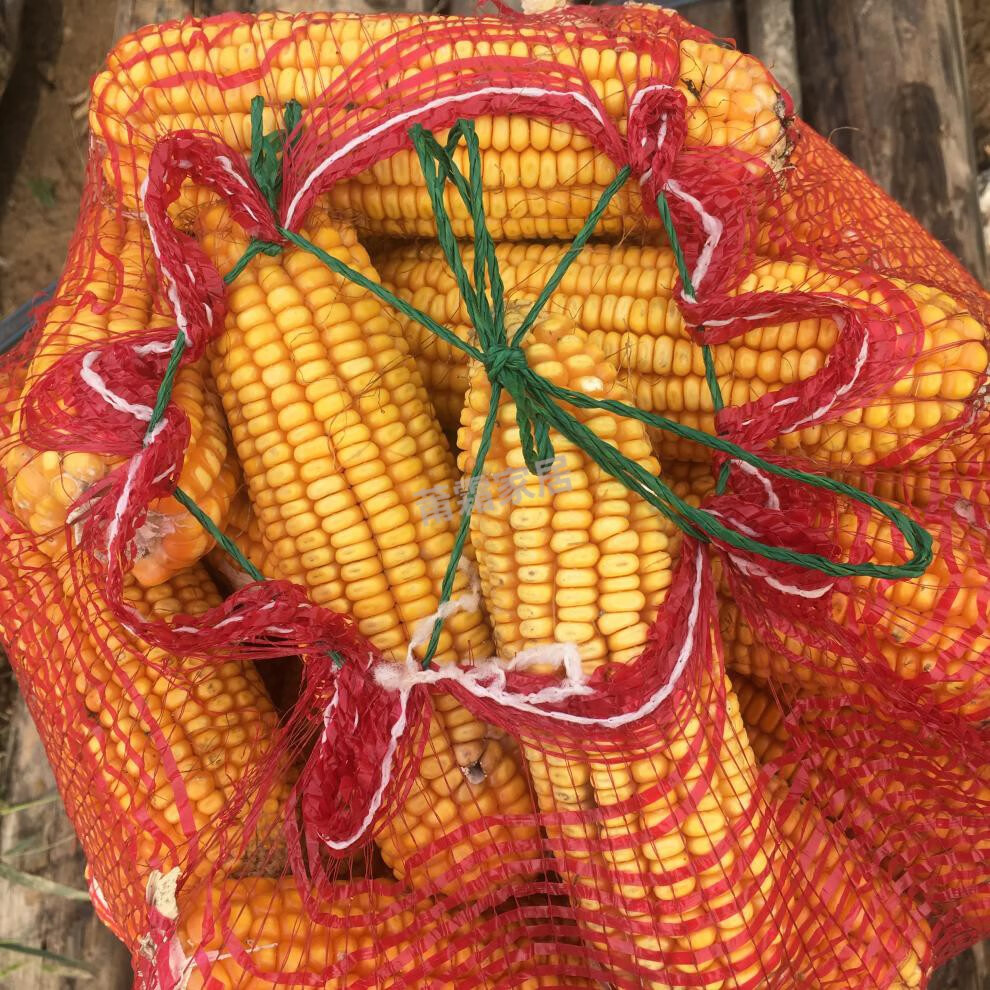 新品玉米网袋编织袋装红薯水果蔬菜土豆棒子大蒜鸡家禽网眼袋通风透气