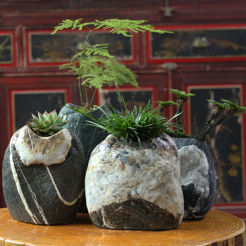 天然石头花盆水培金钱草多肉菖蒲绿萝鹅卵石花器笔筒立式花插花瓶随机