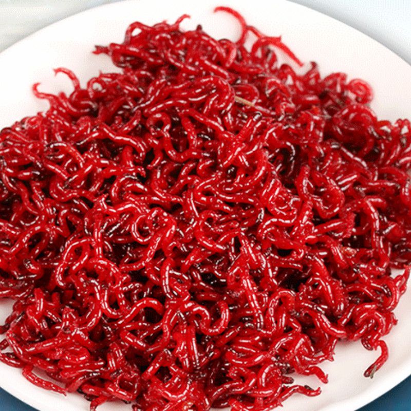 红虫活饵鲜红虫鱼虫子鲜活蚊子活虫线虫血虫活饵赤虫活的冰鲜红虫饵