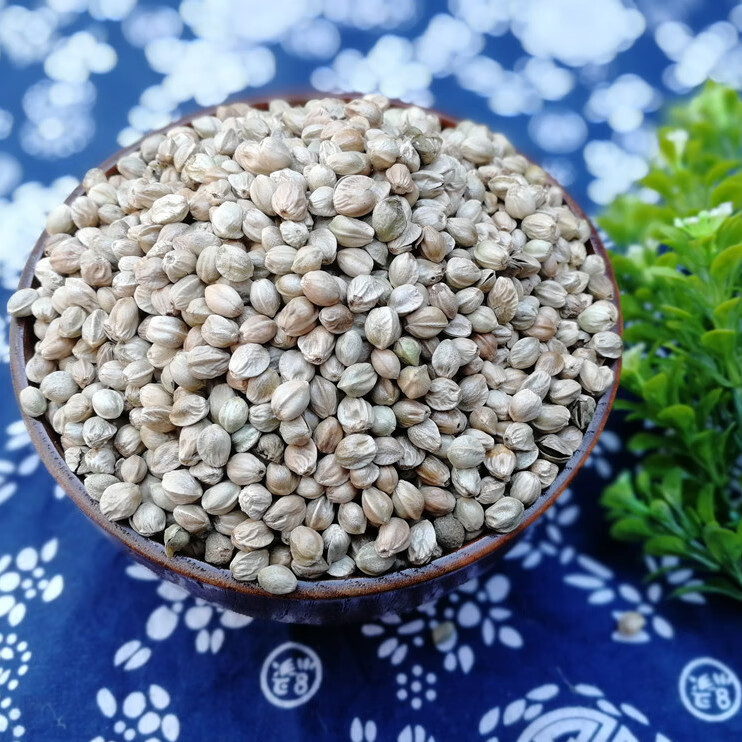 甘肃天水麻子现炒人吃食用新货五香大粒特大粒熟火麻籽特大粒生麻子买