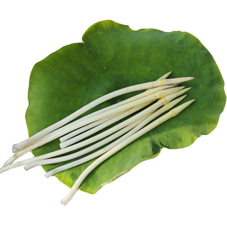 碧莲尼 顺丰速运 藕带新鲜湖北洪湖特产蔬菜现挖现发藕肠子3斤莲藕尖