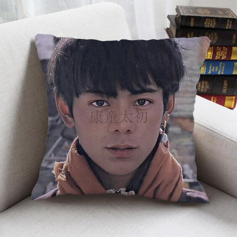 赛马王子丁真周边抱枕来图定制甜野男孩礼物女生宿舍床靠枕玩偶1235