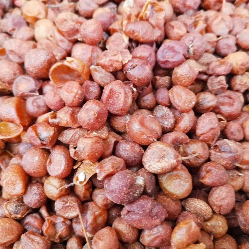 &Φ中药材 山黄皮果干广西带籽山黄皮黄皮 500克【图片 价格 品牌
