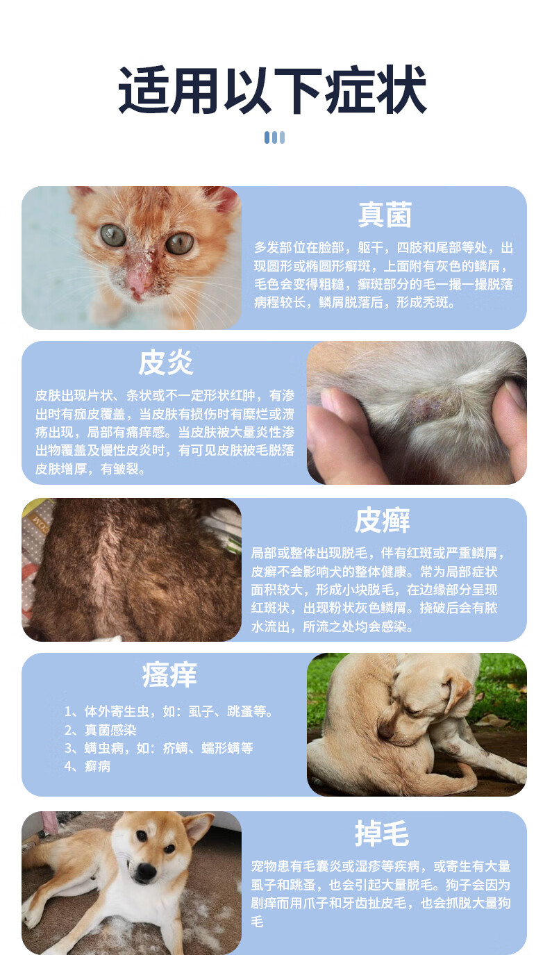 猫咪皮肤病症状及图片图片