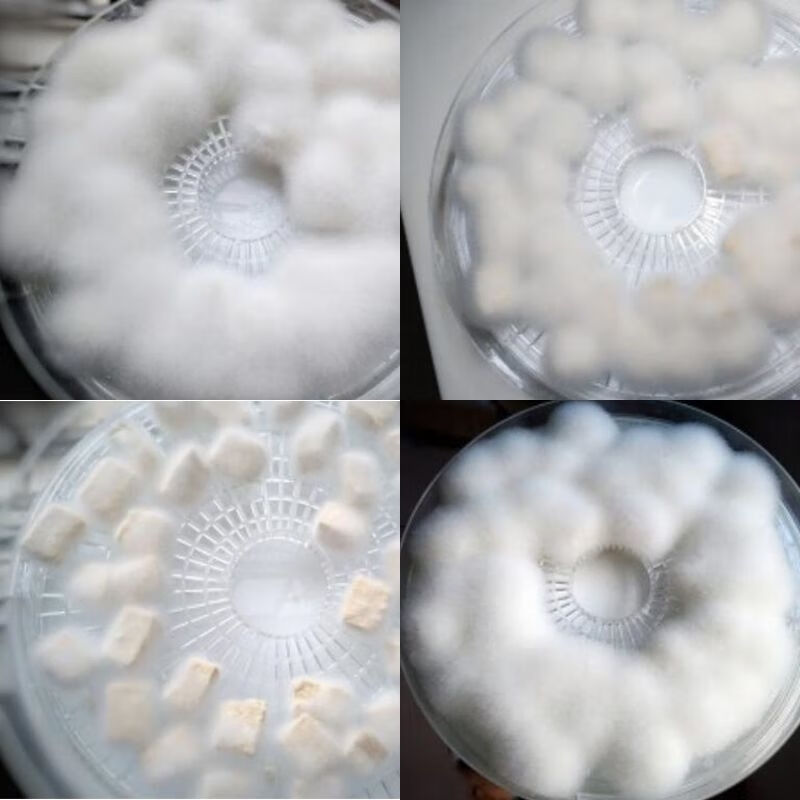 家用做毛豆腐菌20g毛霉菌粉 长白毛豆渣豆腐乳霉千