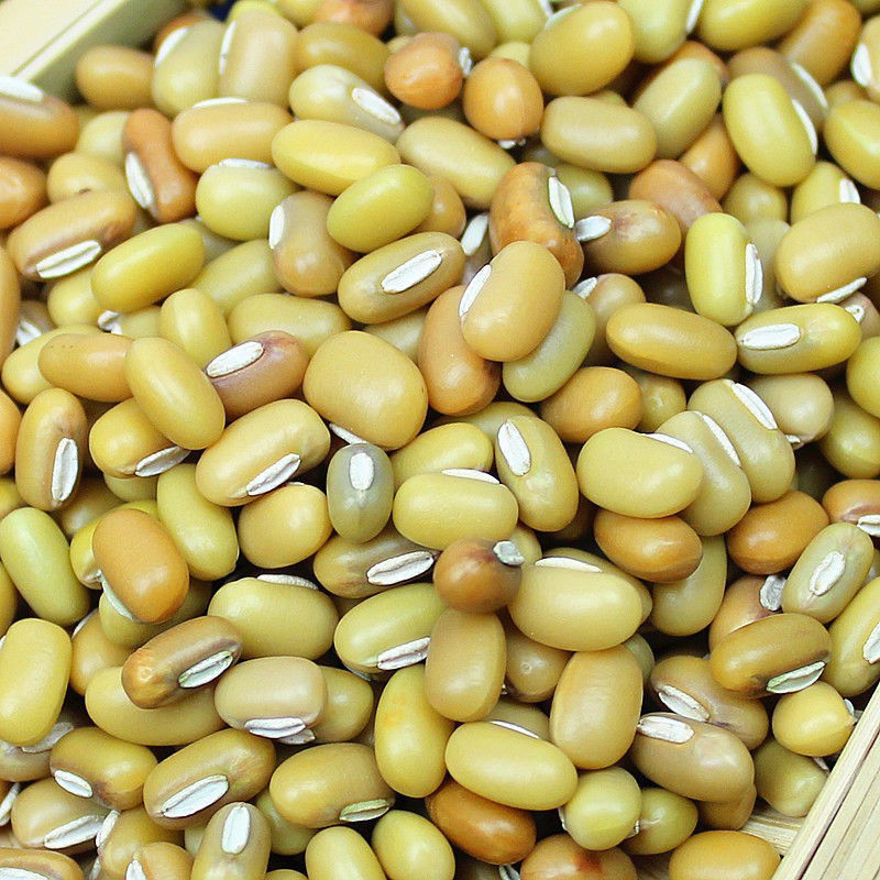 新货竹豆云南农家懒豆自产饭豆眉豆米豆豇豆江豆杂粮豆类粗粮竹豆3斤