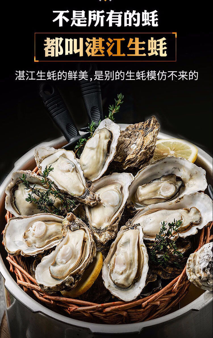 湛江生蚝官渡蚝鲜活带壳海蛎子洗净不带泥原产地现捕现发顺丰冷链 m号
