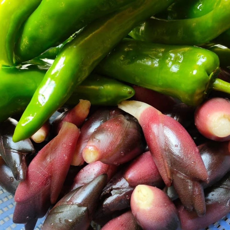 腌制洋火姜茗荷蘘荷阳蒮洋荷酸辣洋合笋老姜腌仔姜泡菜250g 250克试吃