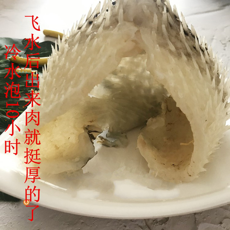 天然大號刺龜魚皮 500克 刺龜皮海膽皮刺豚皮 海刺海產乾貨 煲湯 乾貨