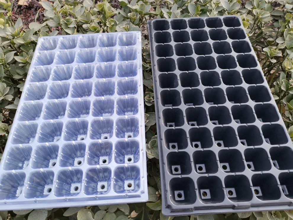 育苗盘育苗盆育苗钵穴盘种菜育苗蔬菜种植盘基质大棚通用盆栽 5个透明