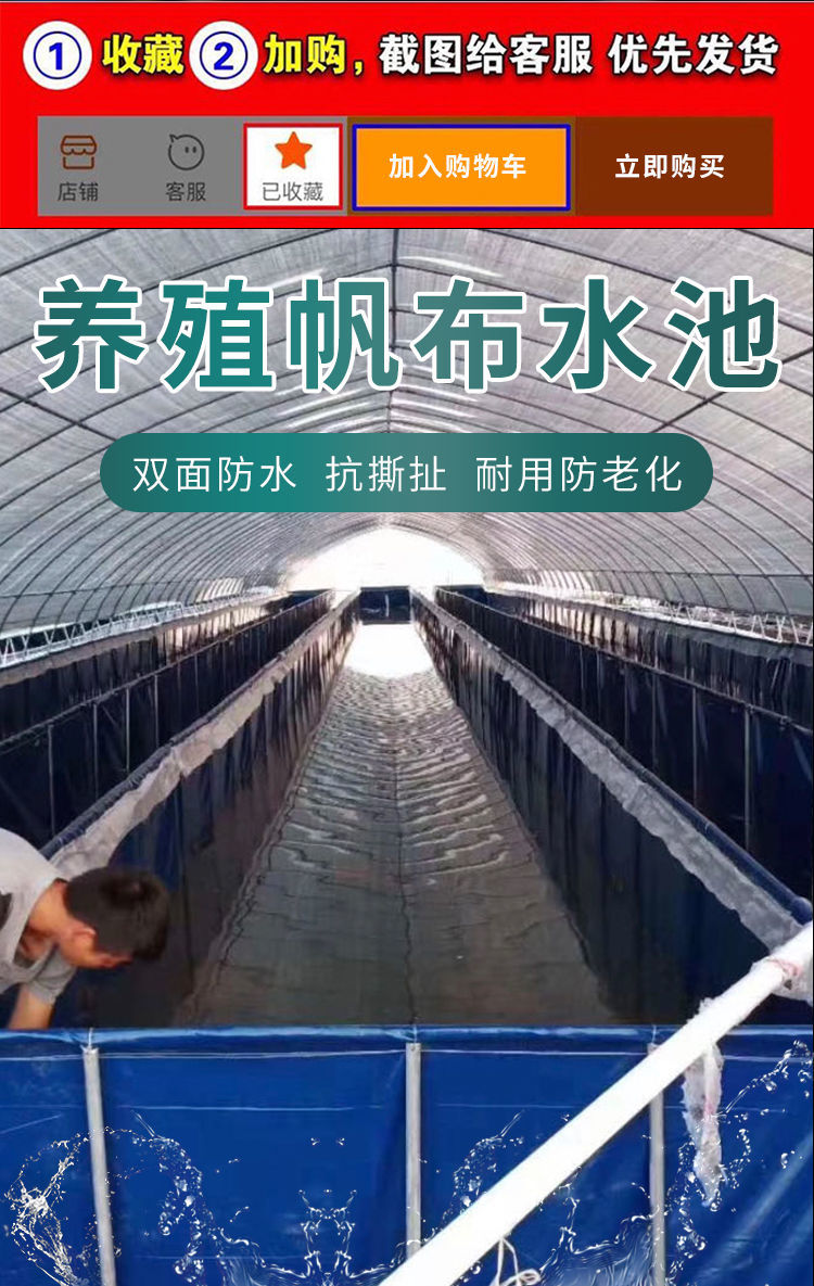 帆布养鱼池家用户外防水布大型水产锦鲤养殖水箱加厚刀刮布蓄水池定制